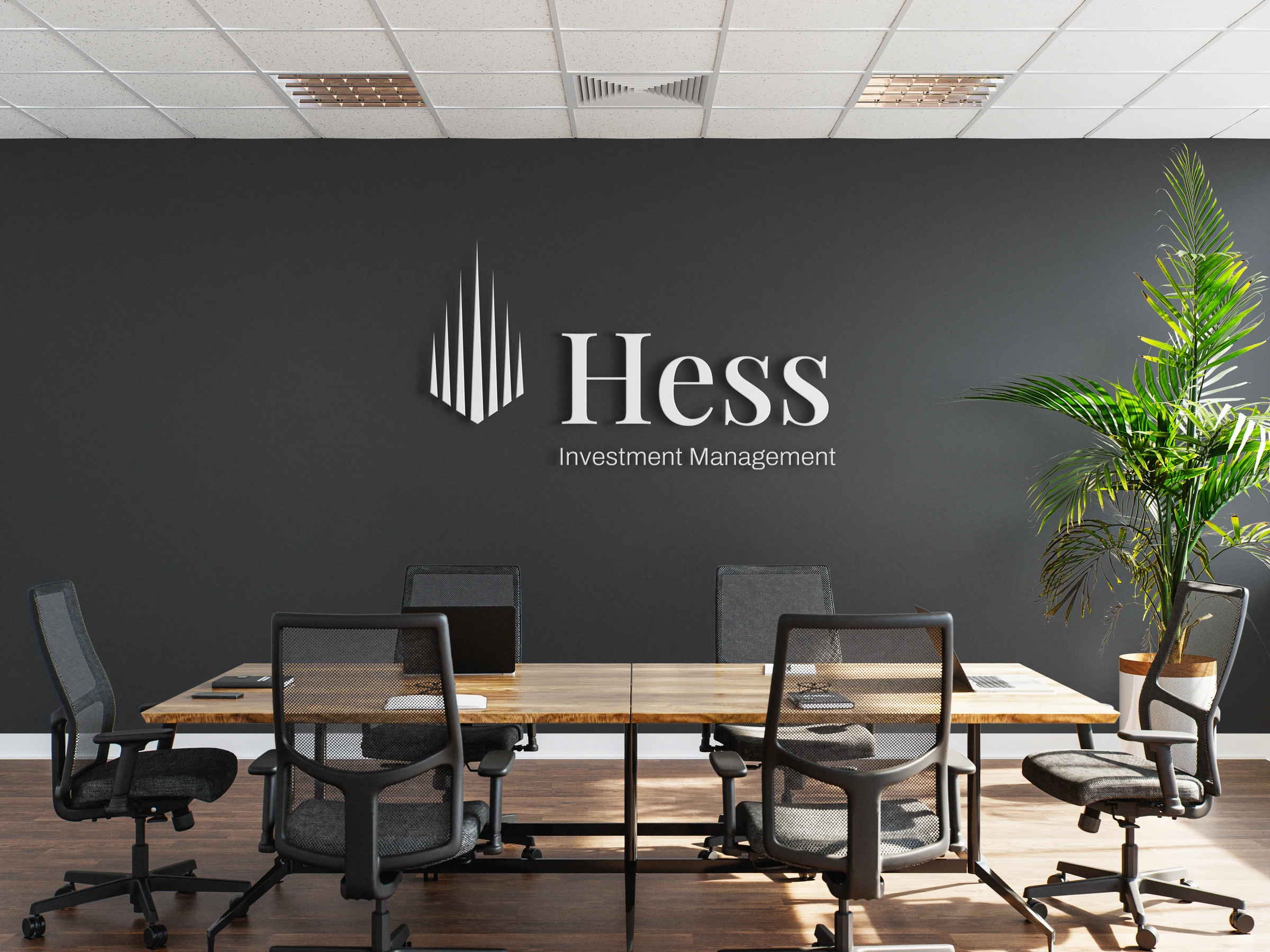 Brand design — Hess IM
